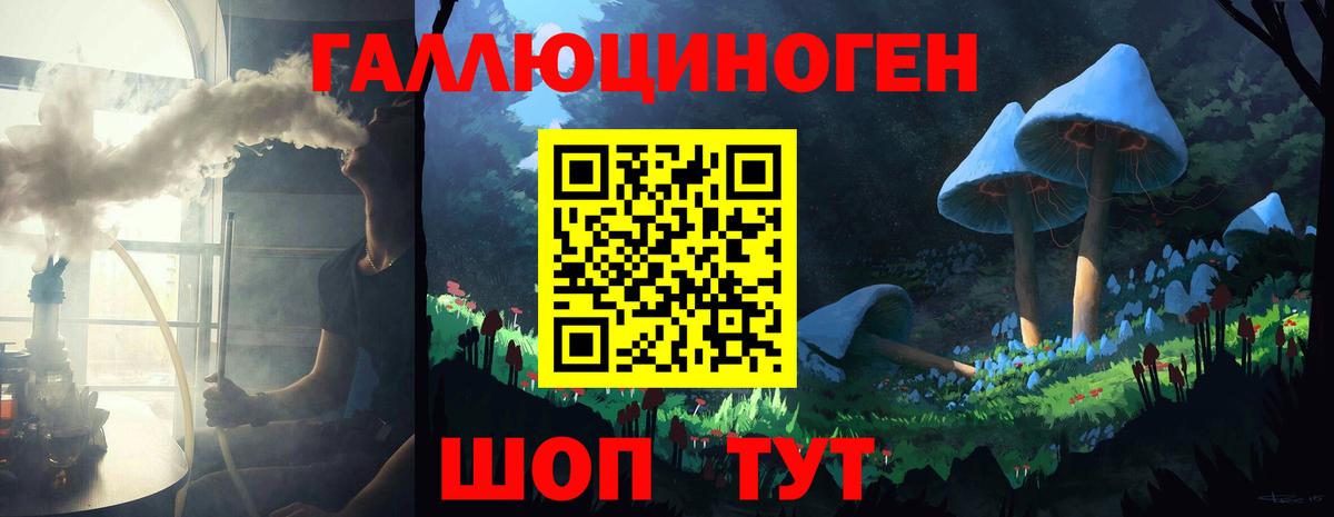 Владимир  Галлюциногенные грибы Psilocybe  Вход с VPN 